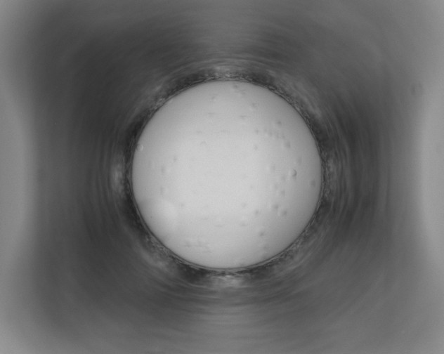 X0000110910698200906181006