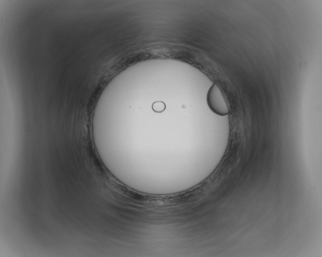 X0000110910702200906181006
