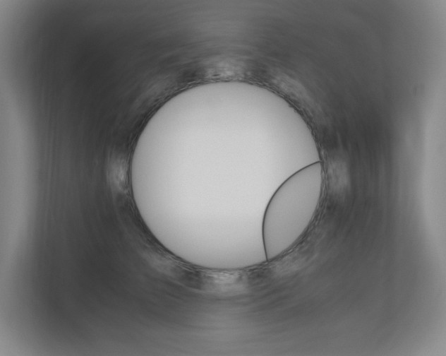 X0000110910709200906181006