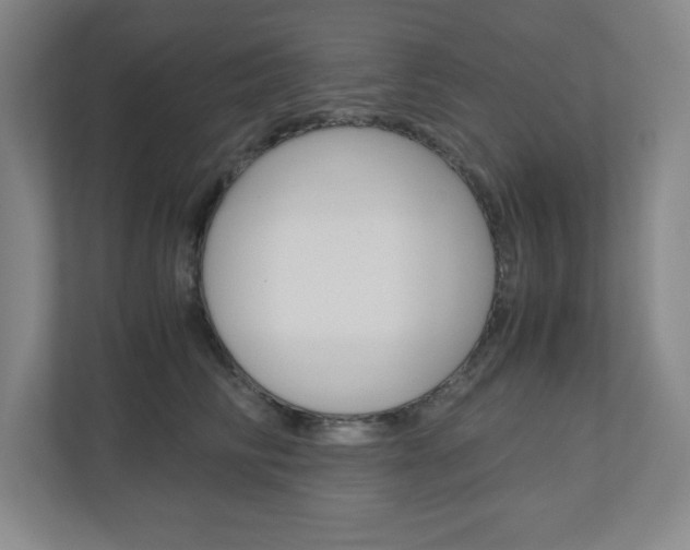 X0000110910710200906181006