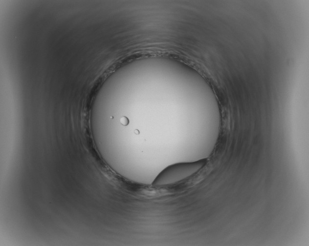 X0000110910712200906181006