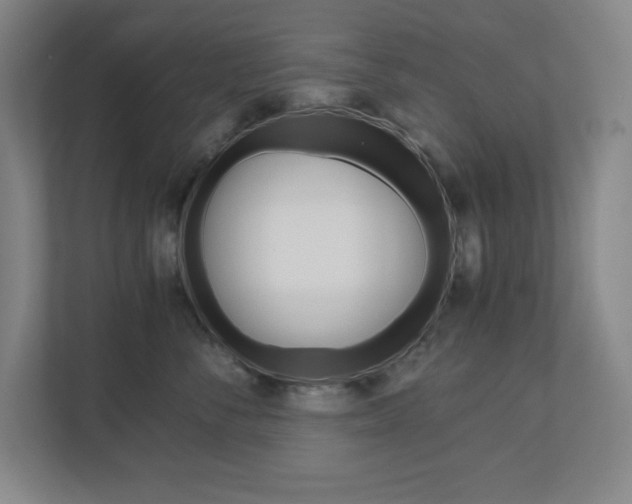X0000110910716200906181006