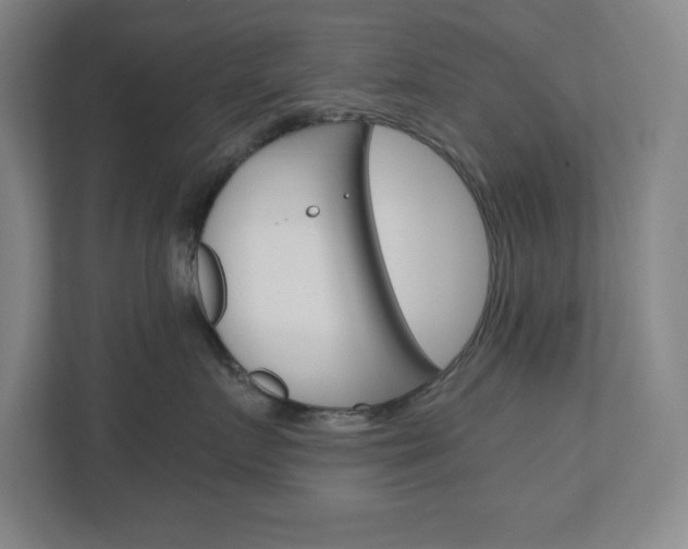 X0000110910719200906181006