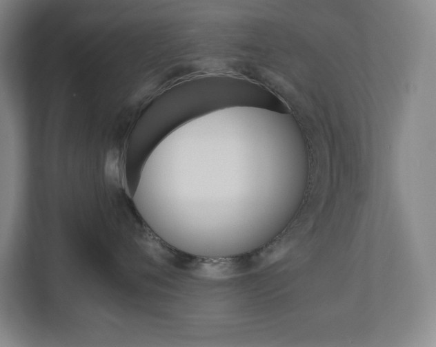 X0000110910720200906181006