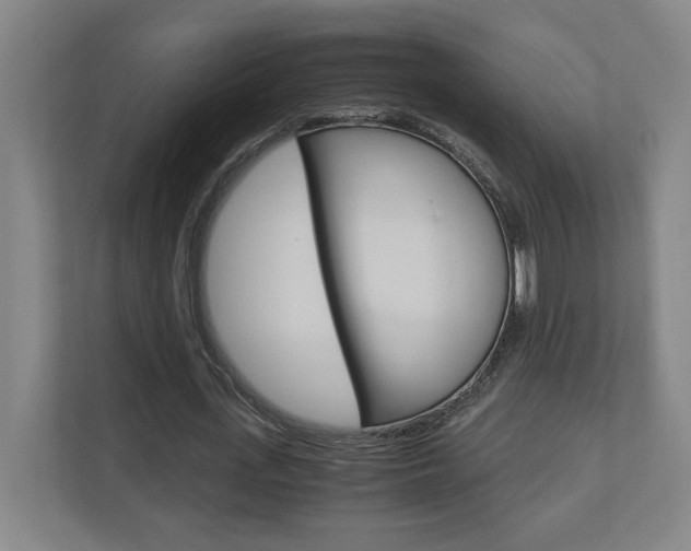 X0000110910723200906181005