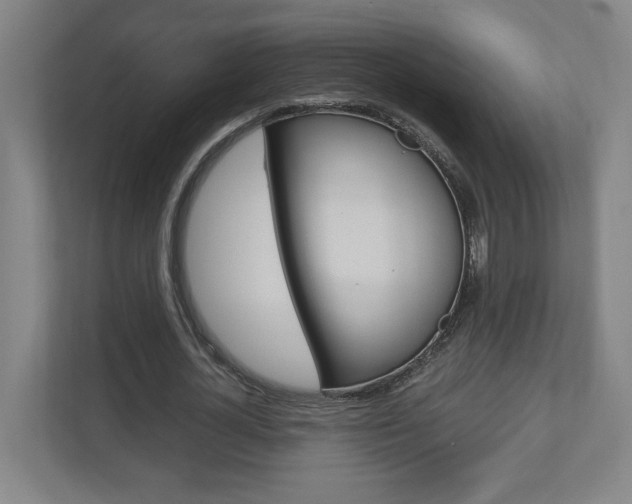 X0000110910724200906181005