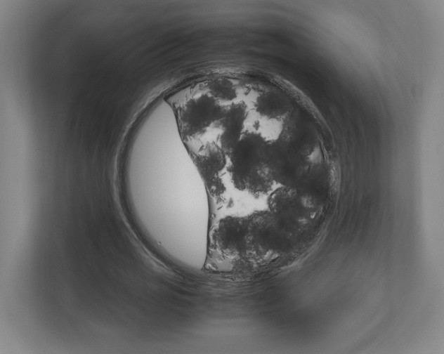X0000110910725200906181005
