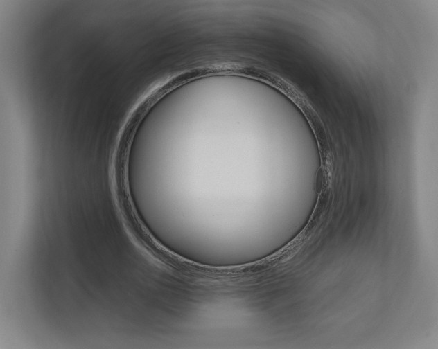 X0000110910726200906181005