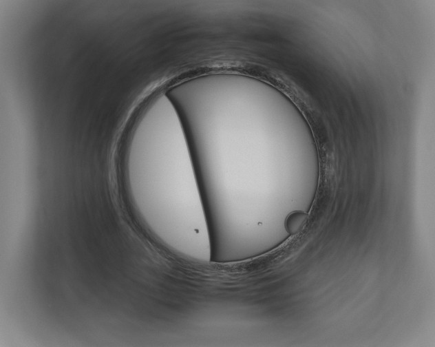 X0000110910727200906181005