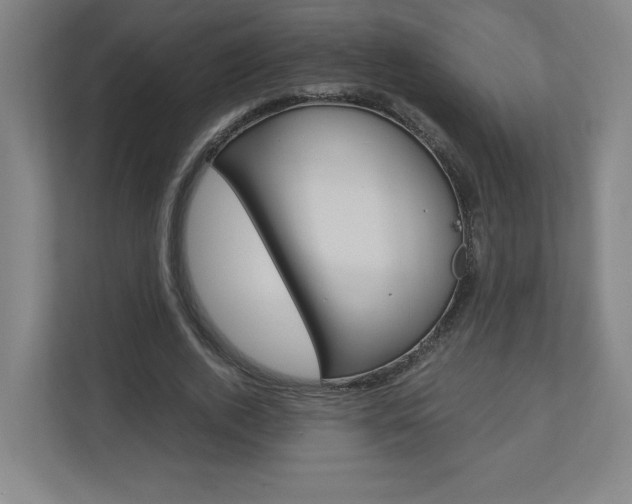 X0000110910728200906181005