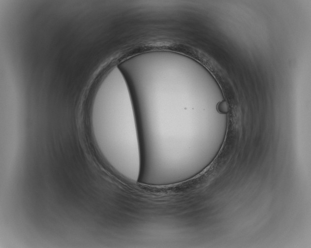 X0000110910731200906181005