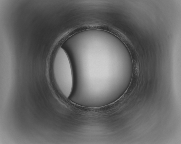 X0000110910732200906181005