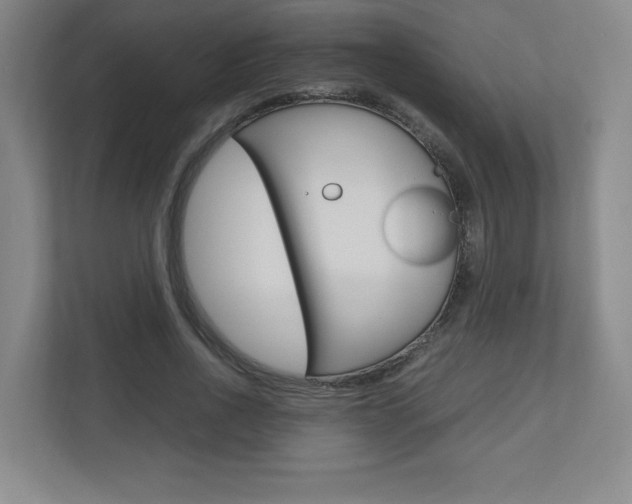 X0000110910734200906181005