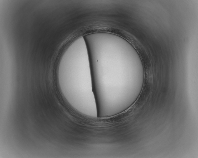 X0000110910735200906181005