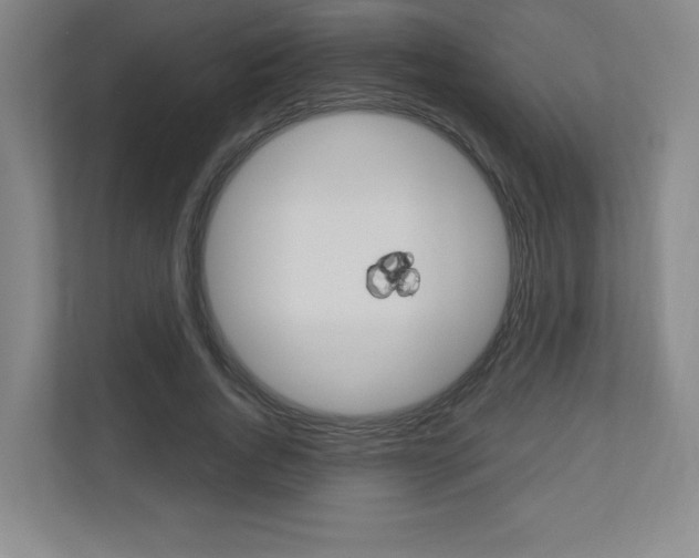 X0000110910736200906181005