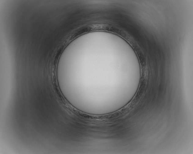 X0000110910737200906181005