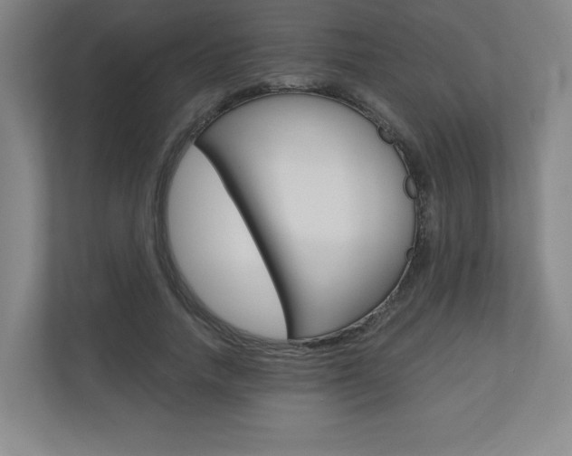 X0000110910738200906181005