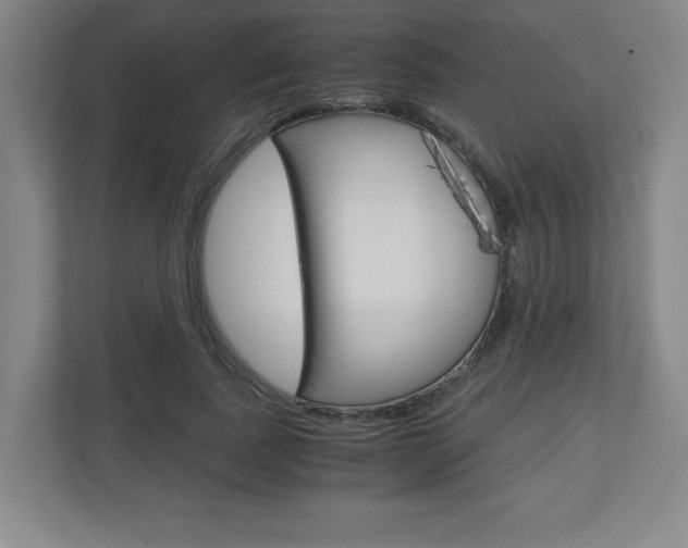 X0000110910739200906181005