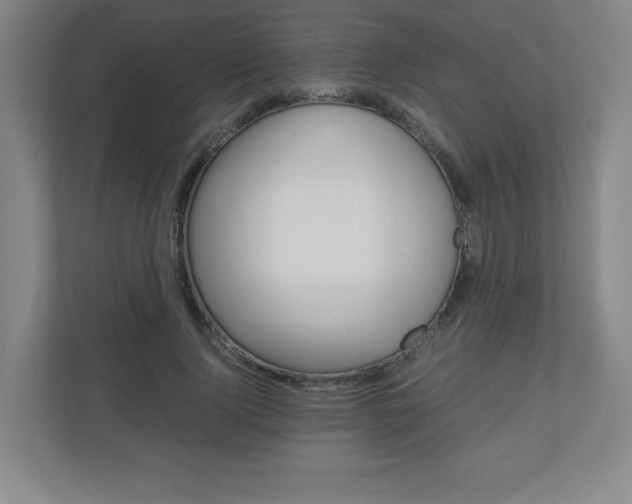 X0000110910740200906181006