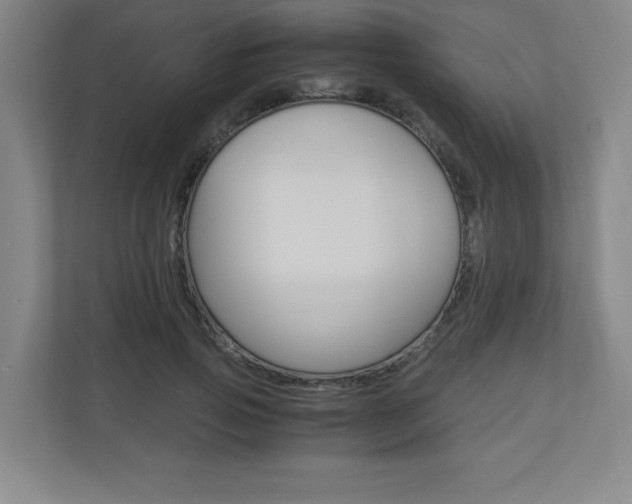 X0000110910741200906181006