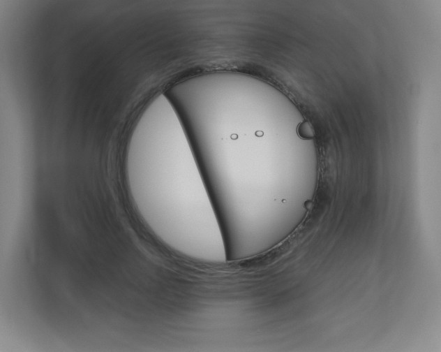 X0000110910742200906181006