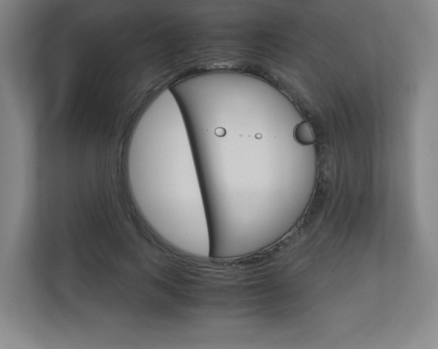 X0000110910743200906181006