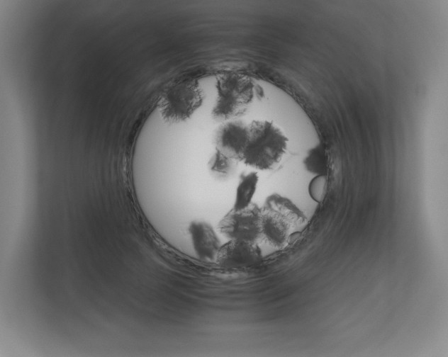 X0000110910745200906181006