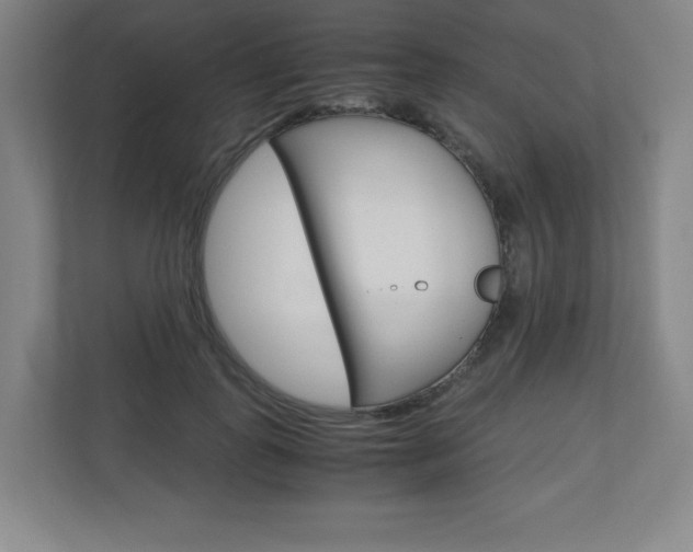 X0000110910747200906181006