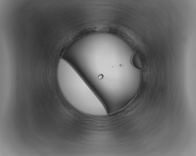 X0000110910748200906181006