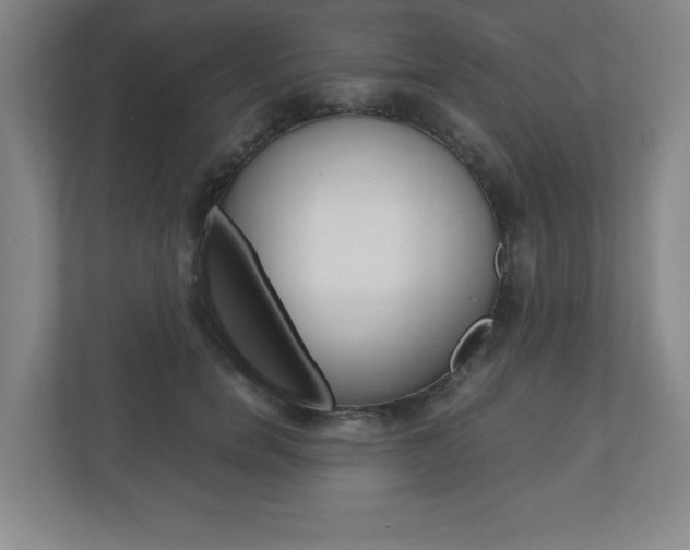 X0000110910750200906181006