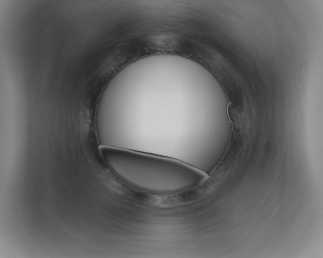 X0000110910752200906181006
