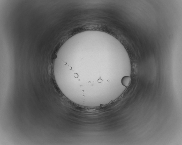 X0000110910753200906181006