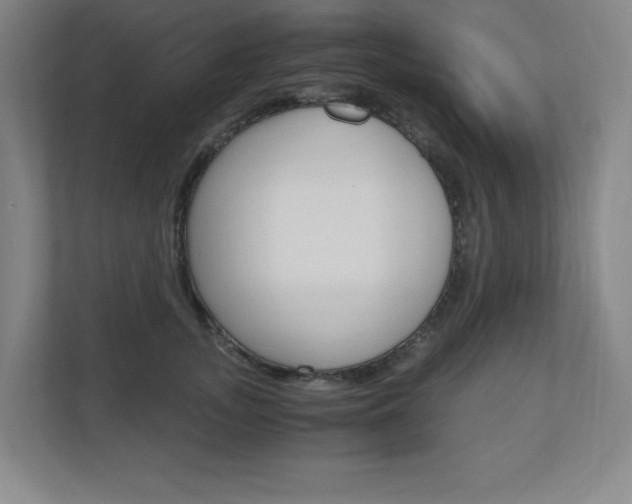 X0000110910755200906181006