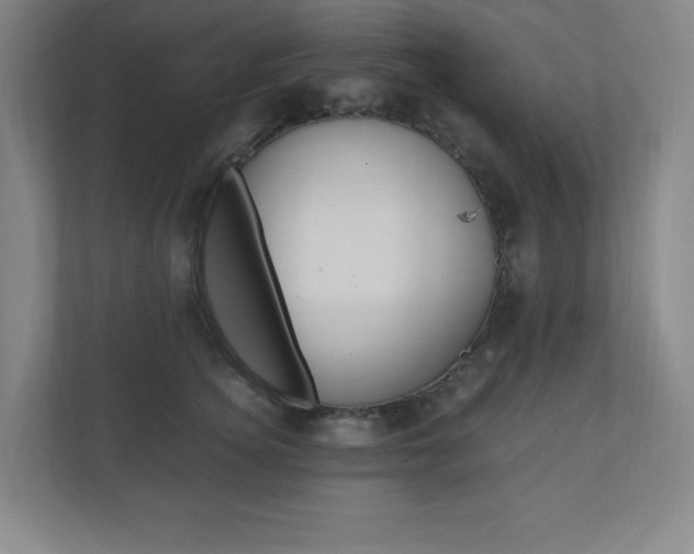 X0000110910756200906181006