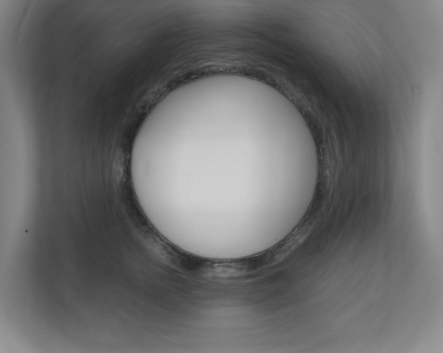 X0000110910758200906181006