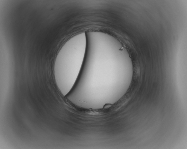 X0000110910759200906181006