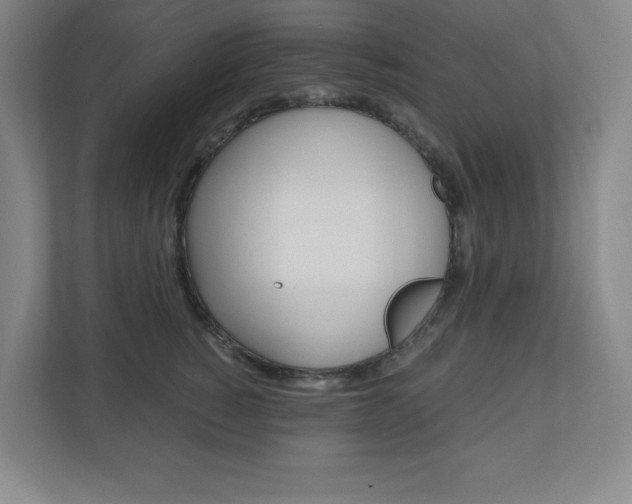 X0000110910760200906181006