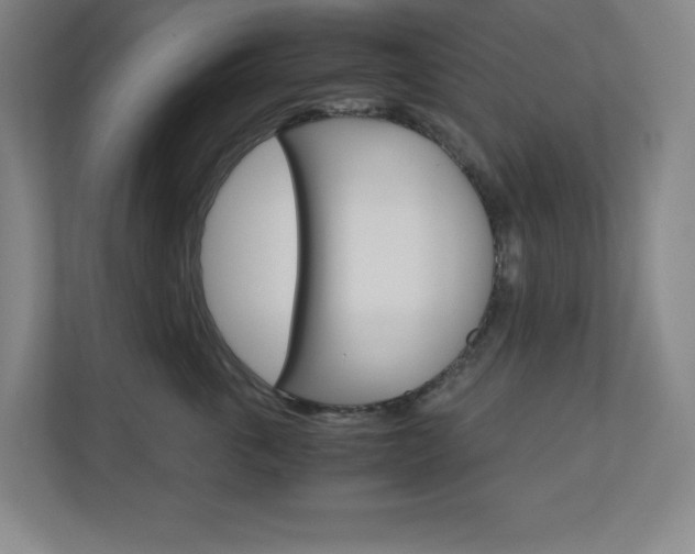 X0000110910763200906181006
