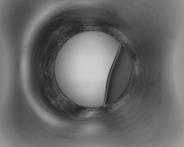 X0000110910764200906181006