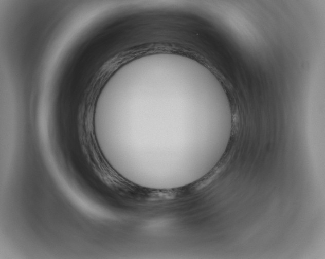 X0000110910765200906181006