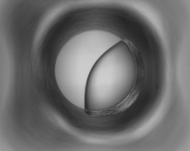 X0000110910766200906181006