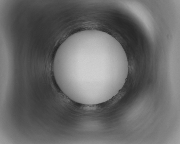 X0000110910767200906181006