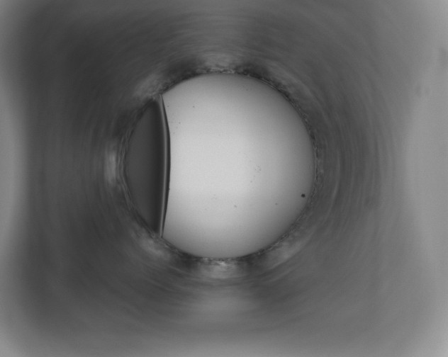 X0000110910768200906181006