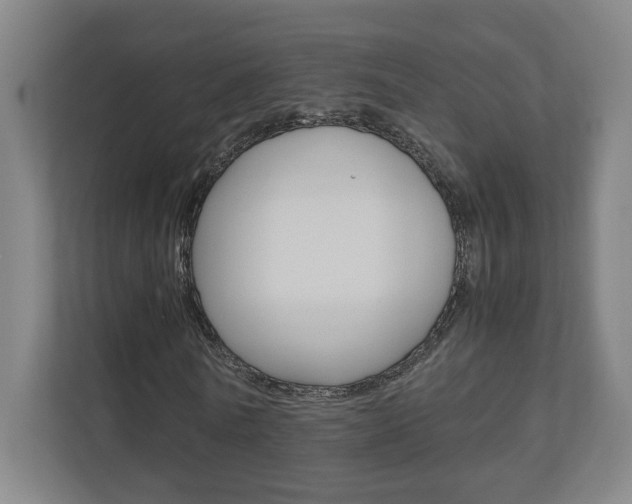 X0000110910770200906181005