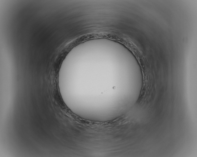 X0000110910773200906181005