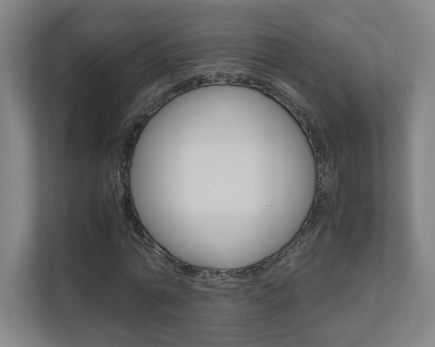 X0000110910774200906181005