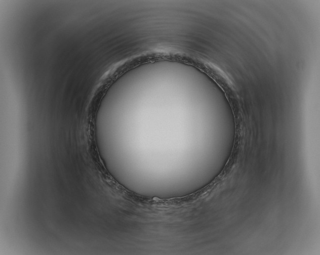 X0000110910776200906181005