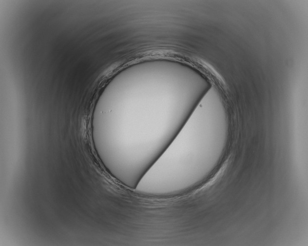 X0000110910777200906181005