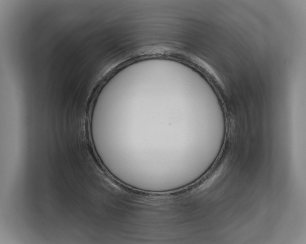 X0000110910778200906181005