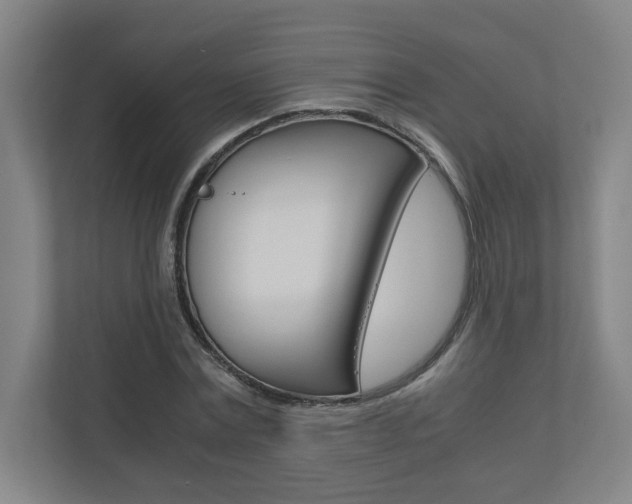 X0000110910779200906181005